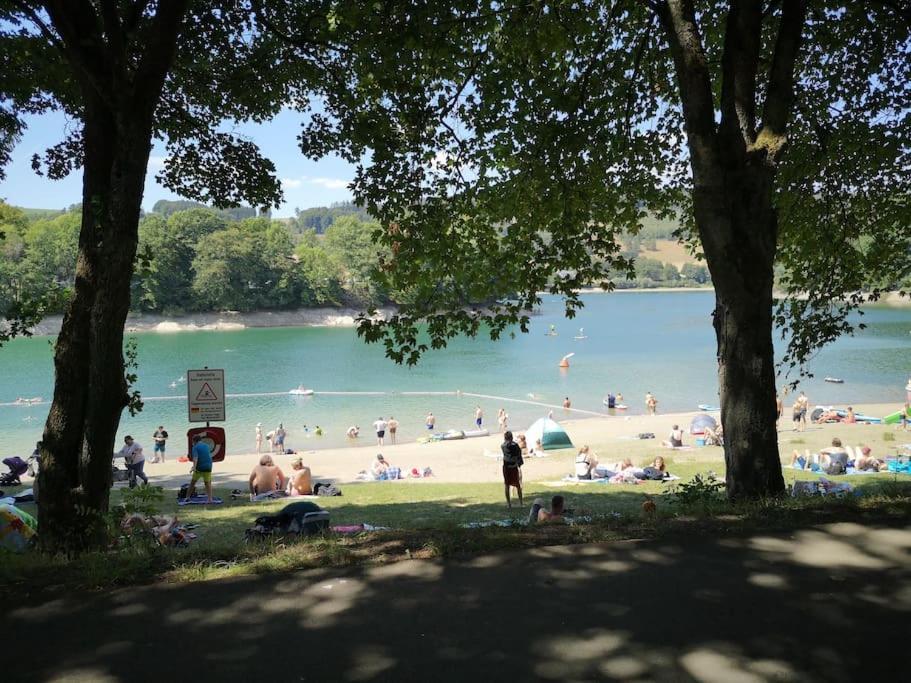 Ferienhaus Lena Im Sauerland Direkt Am Hennesee 梅舍德 外观 照片