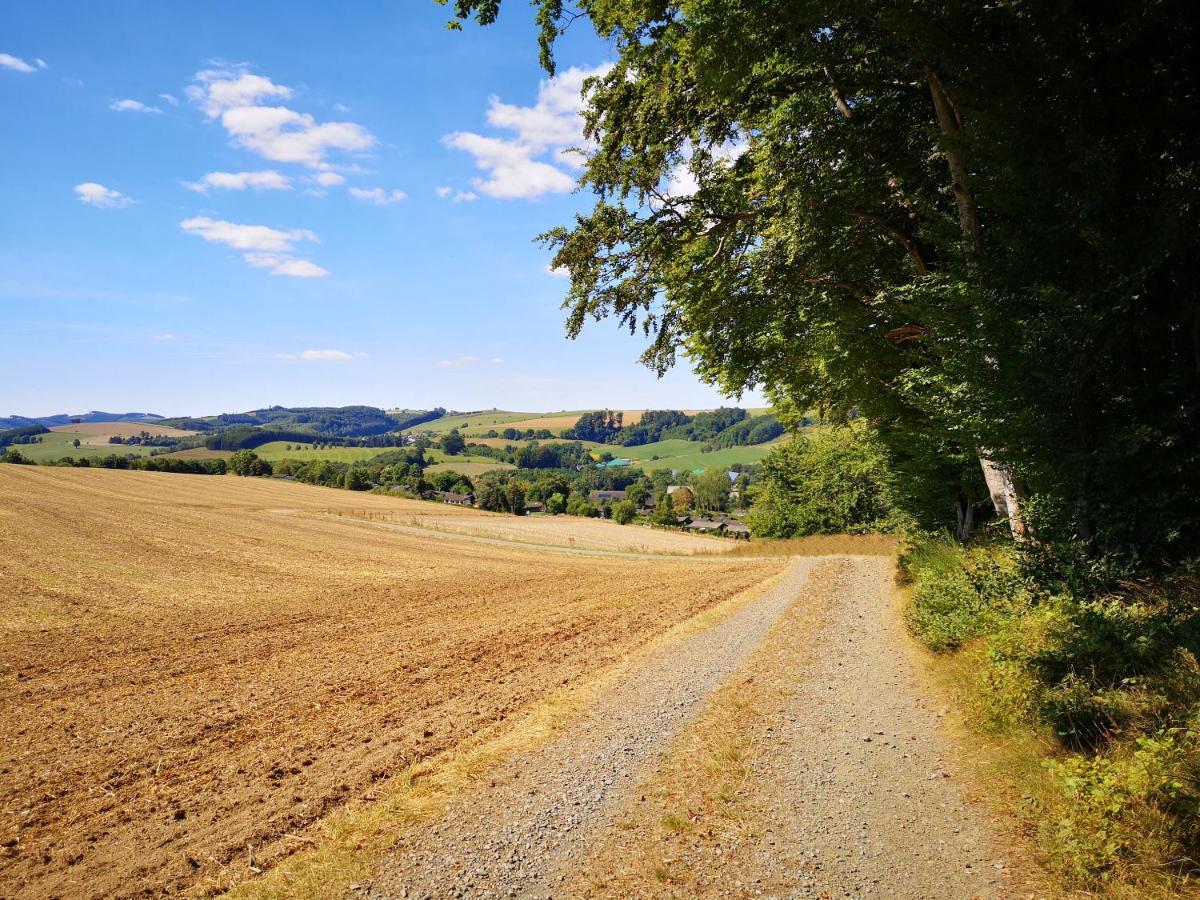Ferienhaus Lena Im Sauerland Direkt Am Hennesee 梅舍德 外观 照片